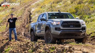 2022 Toyota Tacoma SR5 Trail 4x4 Review and OffRoad Test [upl. by Brigette874]