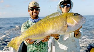 GIANT Golden Tilefish and Swordfish Fishing [upl. by Jandel]