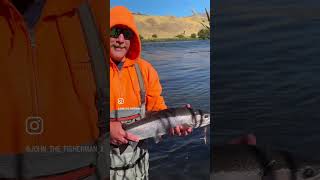 Deschutes River Steelhead [upl. by Marga840]