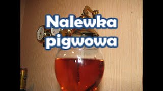 Nalewka pigwowa  na zdrowie  Kwestia Samku [upl. by Nayhr626]