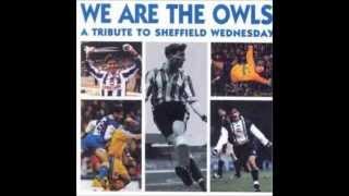 Sheffield Wednesday  Wednesday Chant [upl. by Gardal744]