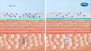 想知道如何使用MoliCare®安加適®潔膚泡沫 How to apply MoliCare® Skin Cleansing foam [upl. by Shore274]