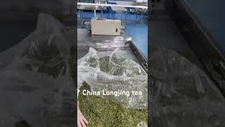 China Longjing Tea onestop supply service factorytea teafactory teabag greentea heathyfood [upl. by Nuaj]