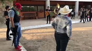 ASI SON LAS FIESTAS DE NARCOS EN SINALOA • MÉXICO 🇲🇽 [upl. by Donal844]