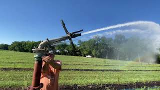 Elderberry Farming  Summer Irrigation Setup [upl. by Nunes]