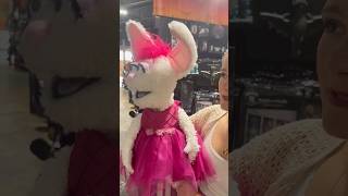 Took Petunia to spirithalloween 👻  Darci Lynne [upl. by Vaughan]