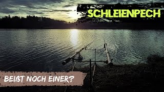 Folge 22 BEIßT NOCH EINER [upl. by Weslee]