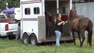 Unloading Saddle Horses at Northeast Texas Trail Ride Mr amp Mrs Trotter [upl. by Butcher]