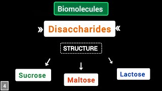 What are Disaccharides structure of sucrose maltose lactose  Biomolecules  simplified [upl. by Yrocej833]