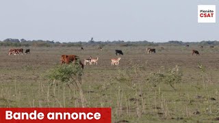 Argentine le grand gibier du Parana  bande annonce  Seasons [upl. by Etna]