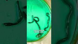 Strange Alloy galinstan plusscience experiment pankajsingh chemistry [upl. by Acired47]