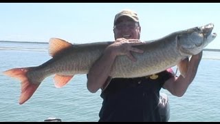 Pêche multiespèces sur le fleuve SaintLaurent [upl. by Rosio885]