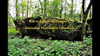 ❗ Bali ❗ in Schleswig Holstein  ehemalige Flakbatterie Lilienthal [upl. by Brittaney977]