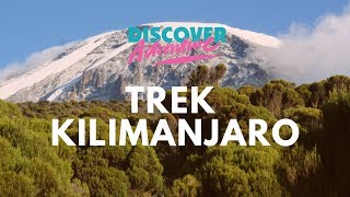 Climbing Mount Kilimanjaro Discover Adventure Charity Trekking Challenge [upl. by Jezrdna983]