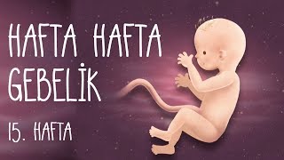 Hafta Hafta Gebelik 15 hafta [upl. by Ainnos]