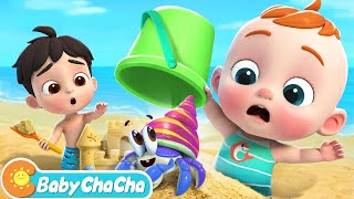 Beach Song  Fun Time at the Beach  Baby ChaCha Nursery Rhymes amp Kids Songs [upl. by Nalloh]