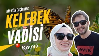 Kelebek Vadisi Konya Vlog Dünyanın En İlginç Kelebekleri [upl. by Monie]