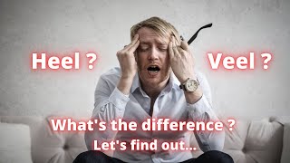 Difference between HEEL and VEEL in Dutch  Dont mix them up [upl. by Ezarras]