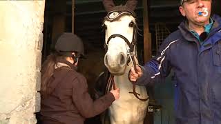 Sarthe  Michel Lebranchu cocher et dresseur de chevaux [upl. by Enneiluj]