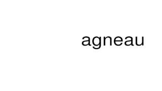 How to pronounce agneau [upl. by Wanda]