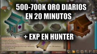 Guia de Birdhouses Hunter  OldSchool Runescape [upl. by Ferna]