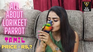 ALL ABOUT LORIKEET PARROT PETSPSYCHO TAMIL [upl. by Ahsratal355]