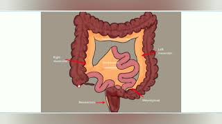 Abdominal cavity and Peritoneum part 1 Anatomyeasy way to learn [upl. by Anaitsirk965]