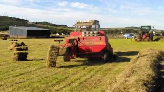 Bailing Hay with a Welger AP63 and a Fendt Farmer LS 308 Turbomatik [upl. by Birkner]