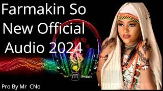 Auwal Sadiq Farmakin So Official Audio 2024 [upl. by Oryaj]