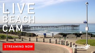 Live Surf Cam Pacific Beach California [upl. by Yannodrahc]