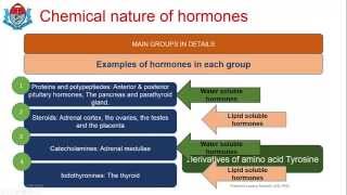 Fundamental concepts in endocrine physiology 3 [upl. by Nauqel]