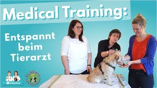 Medical Training Tierarzttraining für den Hund – Kooperationssignal [upl. by Culver597]