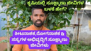 ಕೃಷಿಯಲ್ಲಿ ಸೂಕ್ಷ್ಮಾಣು ಜೀವಿಗಳ ಬಳಕೆ how to use micro organisms in agriculture [upl. by Steinway]