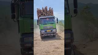 Part No 141  loaded truck trees loaded truck heavy vehicle full loaded truck [upl. by Aihsik]