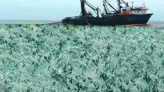 Big Net fishing Trawler fishing in the Sea  Factory Processing on a frozen fishing boat 02 [upl. by Edd]