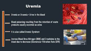 Uremia [upl. by Aseret]