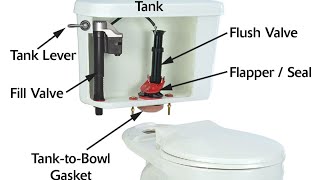 How to Replace Toilet Fill Valves  Repair Toilet Tank  Replace a Toilet Fill Valve [upl. by Aylsworth]