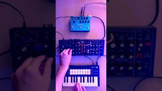 Behringer Model D  MICRO JAM [upl. by Heather]