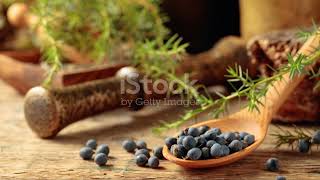 Juniper Berries 5 Fascinating Facts spice spices foodie [upl. by Akienahs]