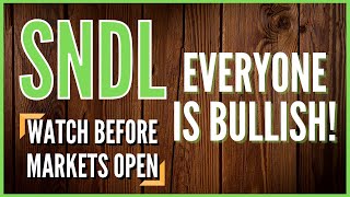 SNDL Investors Are BULLISH SNDL Stock Update amp Price Predictions sndl [upl. by Camella775]