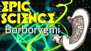 Borborygmi  Epic Science 7 [upl. by Leehar]