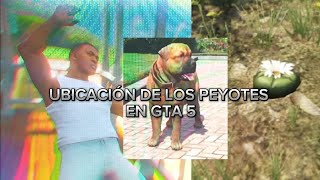 UBICACIÓN DE LOS PEYOTES EN GTA 5 part3 [upl. by Pani677]