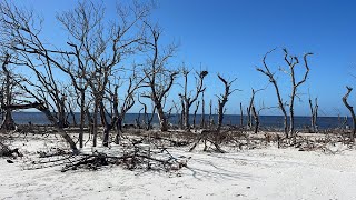 Cayo Costa Post Hurricane Milton [upl. by Wash250]