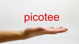 How to Pronounce picotee  American English [upl. by Schroth]