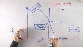 ForceVelocity relationship in skeletal muscles  Biomechanics of human skeletal muscle [upl. by Rhu]