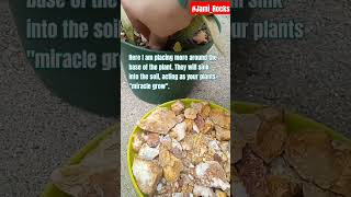 CRYSTALS  GARDENING101 crystals minerals healing howto diy strength tricks tips JamiRocks [upl. by Avika]