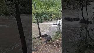 Flooded creek Trail run with Waterfall at the end nature running waterfall [upl. by Atiekram]