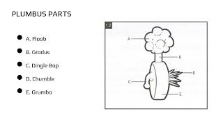 Plumbus Owners Manual How to Use and Maintain Your Plumbus [upl. by Emarej228]