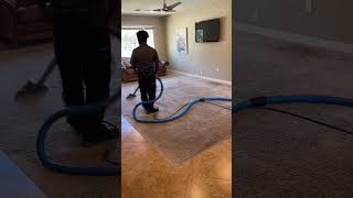 Zerorez® Carpet Cleaning Timelapse [upl. by Blood]