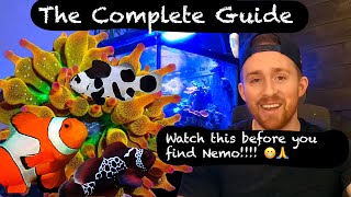 How to Care for a Clownfish Everything You NEED to Know 🐠 [upl. by Anillehs]